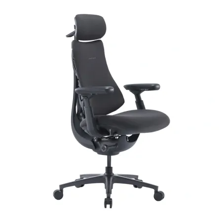 LiberNovo Omni Pro 48 cm Ergonomic Chair (Graphite)